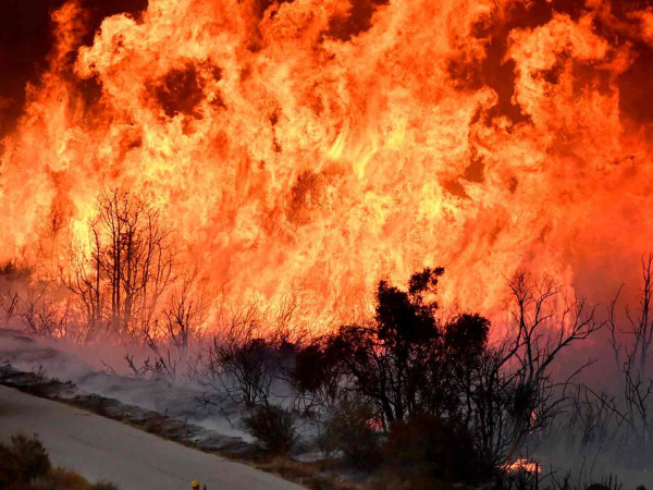 Изображение телепередачи: Большие пожары