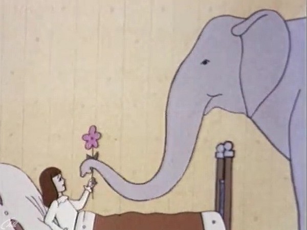 Изображение телепередачи: Девочка и слон