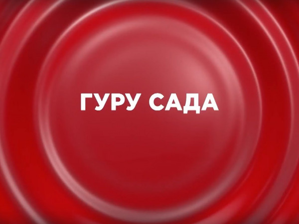 Изображение телепередачи: Гуру сада