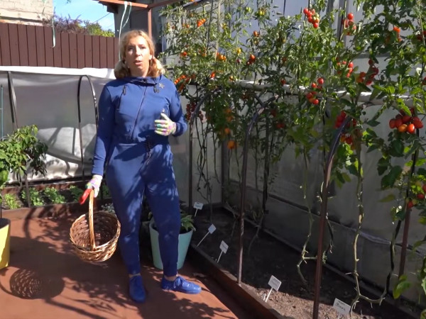 Изображение телепередачи: Секреты садоводства с Мариной Рыкалиной