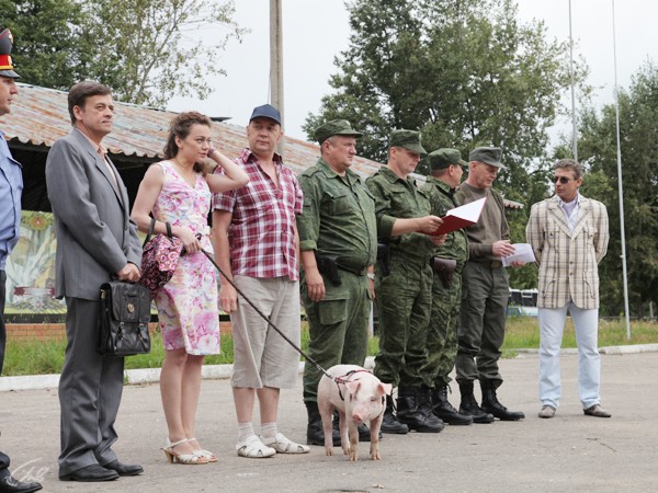 Изображение телепередачи: Берега